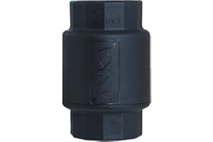 Watts ACV2 Anka Check Valves (2")