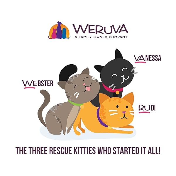 WERUVA B.F.F. OMG – BEST FELINE FRIEND OH MY GRAVY!, TUNA & CHICKEN CHASE ME WITH TUNA & CHICKEN, 2.8OZ CAN (PACK OF 12)