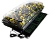 Jump Start CK64050, Germination Station w/Heat Mat, Tray, 72-Cell Pack, 2" Dome