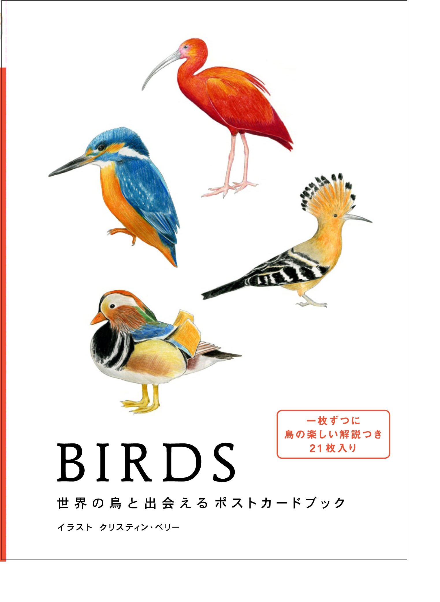 Birds 世界の鳥と出会えるポストカードブック クリスティン ベリー 中村亜希子 The Word Works 本 通販 Amazon