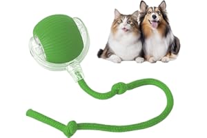 Eptchn Interactive Cat Toy Ball, Active Smart Rolling Balls for Cat, Electric Toy Balls for Indoor Cats