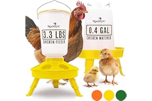 Roosty's - Top Fill Chicken Feeder and Waterer - 1.5KG/1.5L | Hanging, Small, Duck & Quail Feeder & Waterer | Chicken Supplies