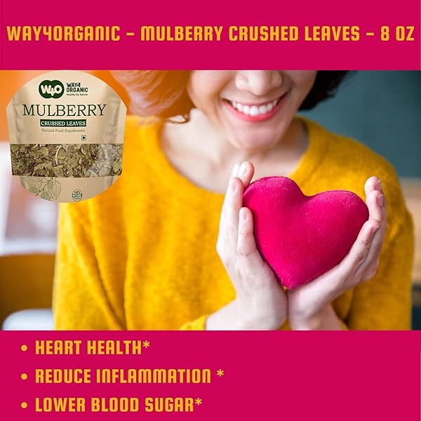 MULBERRY LEAF TEA 8 OZ, DRIED CRUSHED LEAVES, BEST CAFFEINE FREE TEA – WAY4ORGANIC (1 PACK)