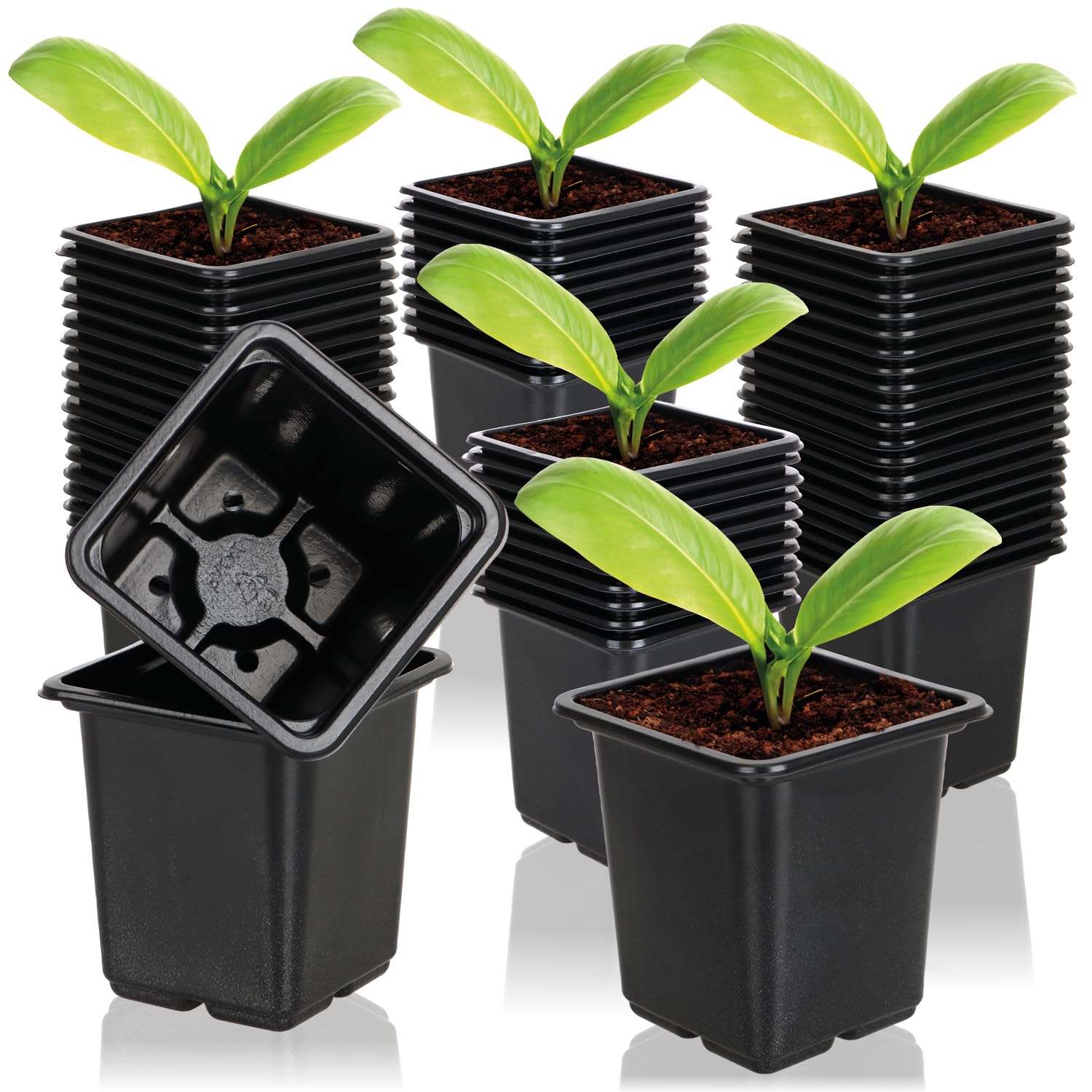 com-four® 60x growing pots for plants - plant pots for growing - flower pot for plant growing (060 pieces - growing pot 7.5x8cm)