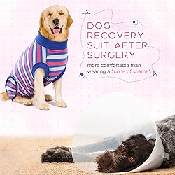 IDOMIK Dog Surgery Recovery Suit, Soft Comfortable