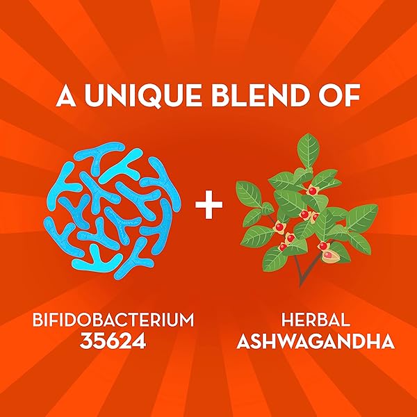 ALIGN PROBIOTIC, DIGESTIVE DE-STRESS, PROBIOTIC FOR WOMEN AND MEN WITH ASHWAGANDHA, HELPS WITH A HEALTHY RESPONSE TO STRESS, GLUTEN FREE, SOY FREE, VEGETARIAN, 21 CAPSULES