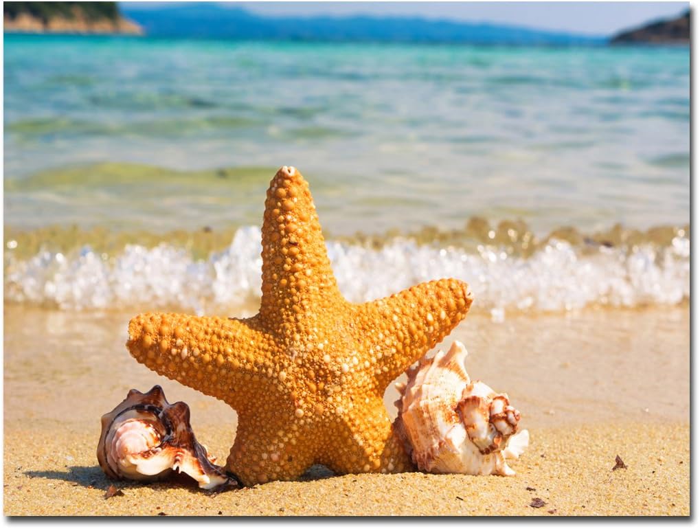 Framed Starfish Canvas Art Blue Ocean Painting Hanging Print Home Decorative Modern Artwork Ready to hang (36"W x 24"H)
