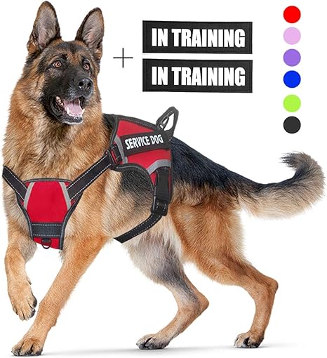 service dog harness