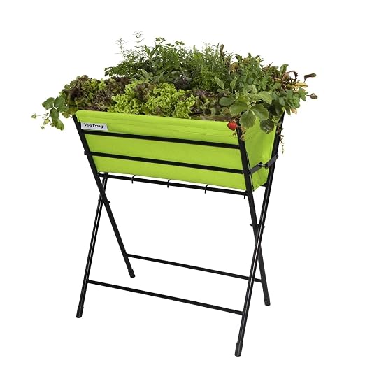 vegtrug
