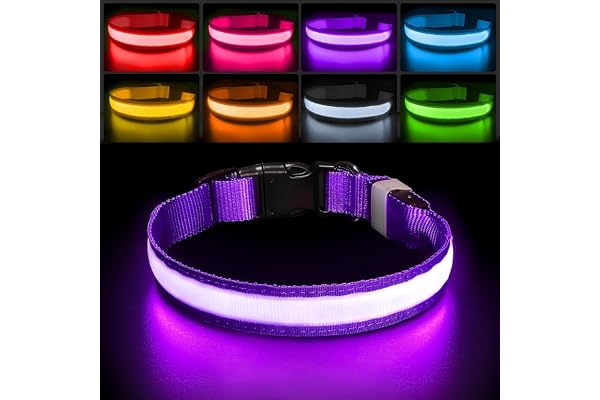 PcEoTllar Light Up Dog Collars, LED Dog Collar Rechargeable Purple Lighted Dog Collar Waterproof Dog Lights for Night Walking