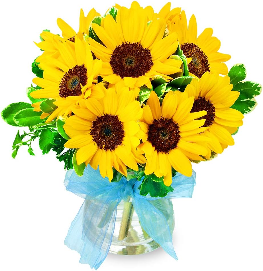 Amazon 父の日 ひまわりとグリーンのグラスブーケ Mh00az 5192 花キューピット プレゼント ギフト お祝い 母の日 記念日 父親 祖父 花束 オンライン通販