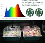 VDYXEW Seed Trays Propagator with Lights 24-Cell 0.8mm PVC 2 Pack view 4