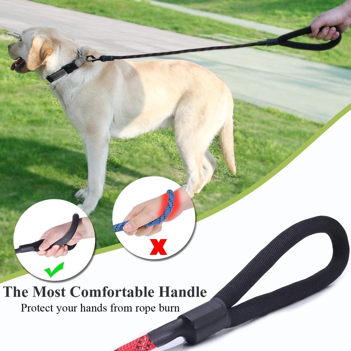 can i give bread to my dog