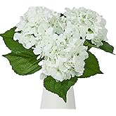 Heleze 25" Faux Hydrangea Flowers,Real Touch White Latex Hydrangeas Spring Flowers Artificial for Decoration 3Pcs