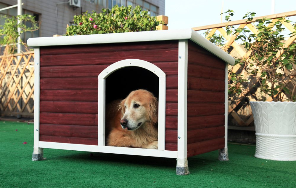 Petsfit Weatherproof Wooden Outdoor Dog/Pet/Cat Houses Amazon.ca Pet Supplies
