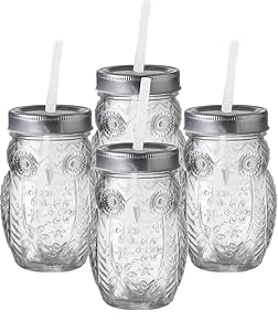 Circleware 69052 Owl Mason Jars Drinking Glasses with Metal Lids and Hard Plastic Straws Set of 4, Glassware for Water Beer and Kitchen & Home Decor Dining Beverage Gifts, 15 oz, Clear