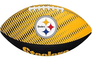 WILSON Unisex NFL Team Tailgate Footballs