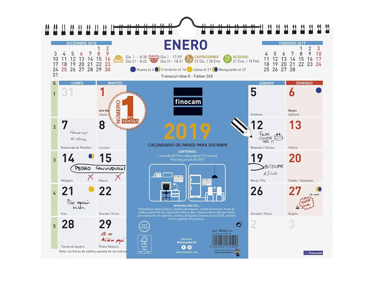 Finocam 781420019 - Calendario de pared 2019: Amazon.es: Oficina y papelería