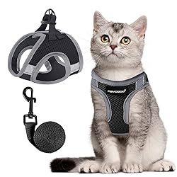 Cat Harness, Cat Leash and Harness Set for Walking