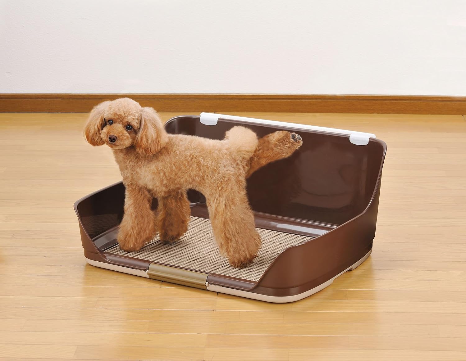 Amazon ボンビアルコン Bonbi しつけるウォールトレー ブラウン 犬用 M サイズ ボンビアルコン Bonbi ペット用品 通販