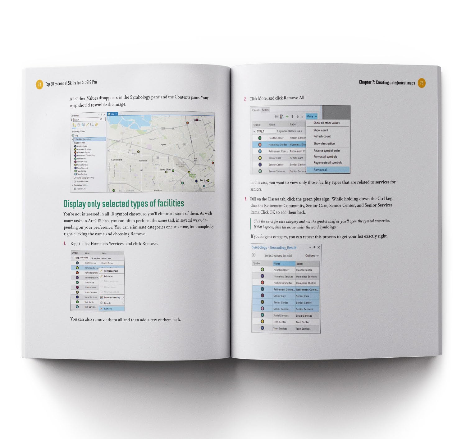 Top 20 Essential Skills for ArcGIS Pro (Top 20 Essential Skills, 1)