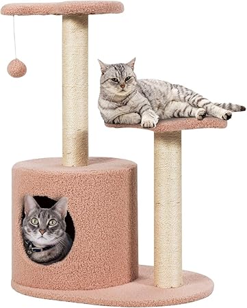 cocker spaniel registered breeders