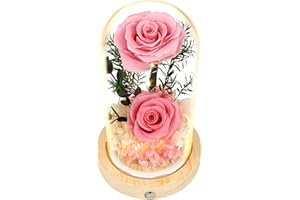 REGALO FLOR Flowers, Roses, Gifts for Women - Flowers Fresh Bouquet & Forever Flowers for Her: Preserved Flowers for Mom, Birthday, Valentine's, Mother's Day, Thank You, Christmas Gifts - Lasting Fresh Roses