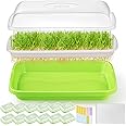FELISTORY 12 Pack Seed Sprouter Trays With Lids - Soil-Free Germination Kit For Microgreens & Sprouts