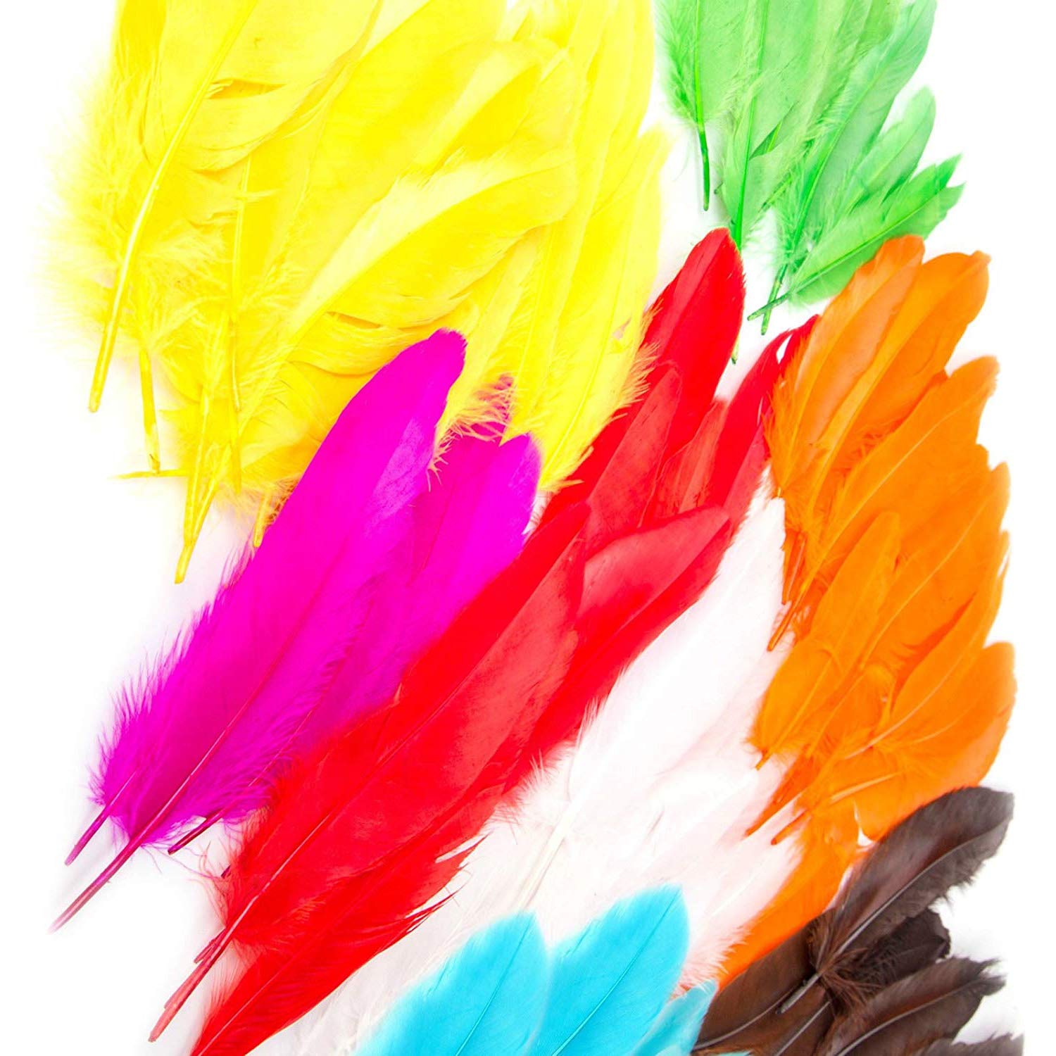 by Robelli Pack of 300 Standard Size Natural Dyed Arts & Craft Feathers - Assorted Colours