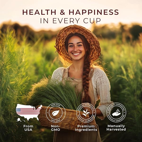 GYA TEA CO HORSETAIL HERBAL TEA POD (16 CT) – DECAF WELLNESS TEA RICH NUTRIENTS FOR HAIR CARE & DIGESTION HEALTH
