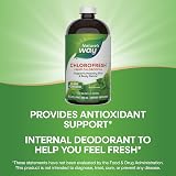 Nature's Way Chlorofresh Liquid Chlorophyll Internal Deodorant 16 fl oz view 3