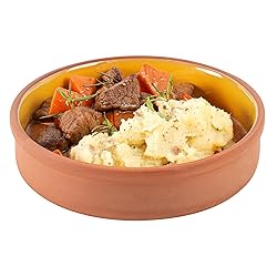 Restaurantware-Terra Tek 15.2 Ounce Terracotta