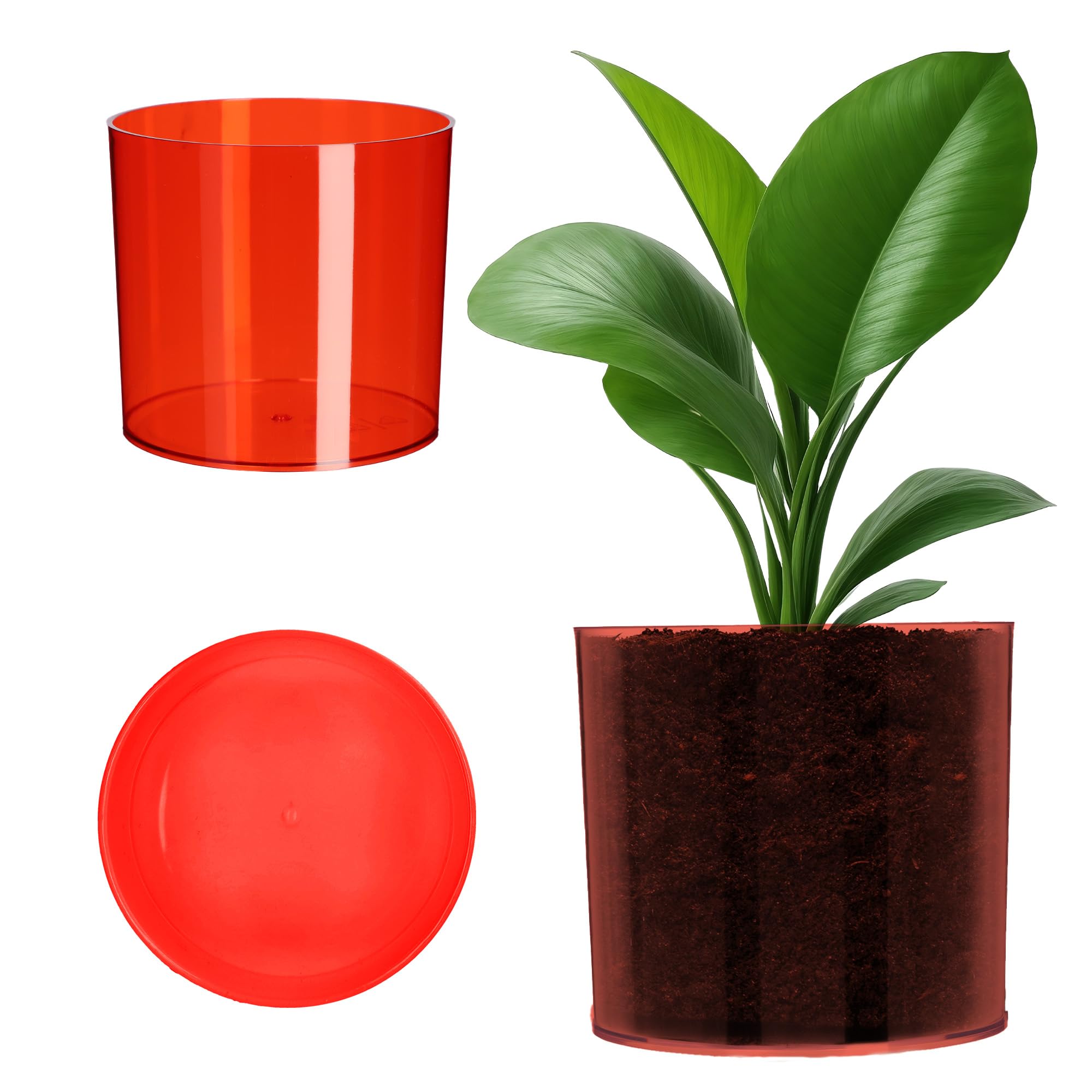 KADAX Plastic Flower Pot, 13 Colours, Shiny Cylindrical Pot, Herb Pot, Flower Vase, Planter, Plant Pot (Diameter 12.8 cm, Red)