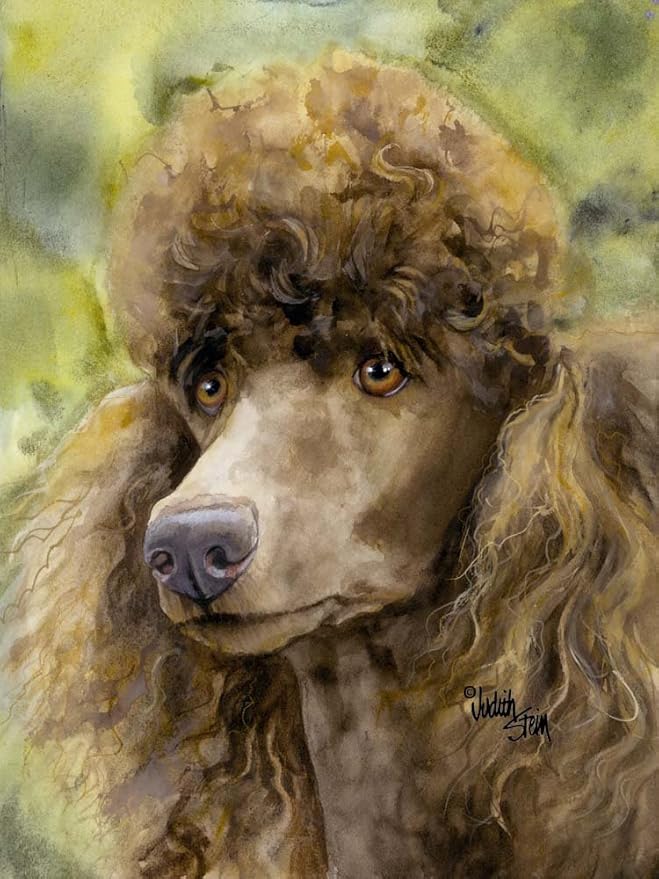Amazon Com Brown Standard Poodle Chocolate Pet Portrait Watercolor Dog Art Print Wall Art Home Decor Truffle Face 14 X 21 Furniture Decor