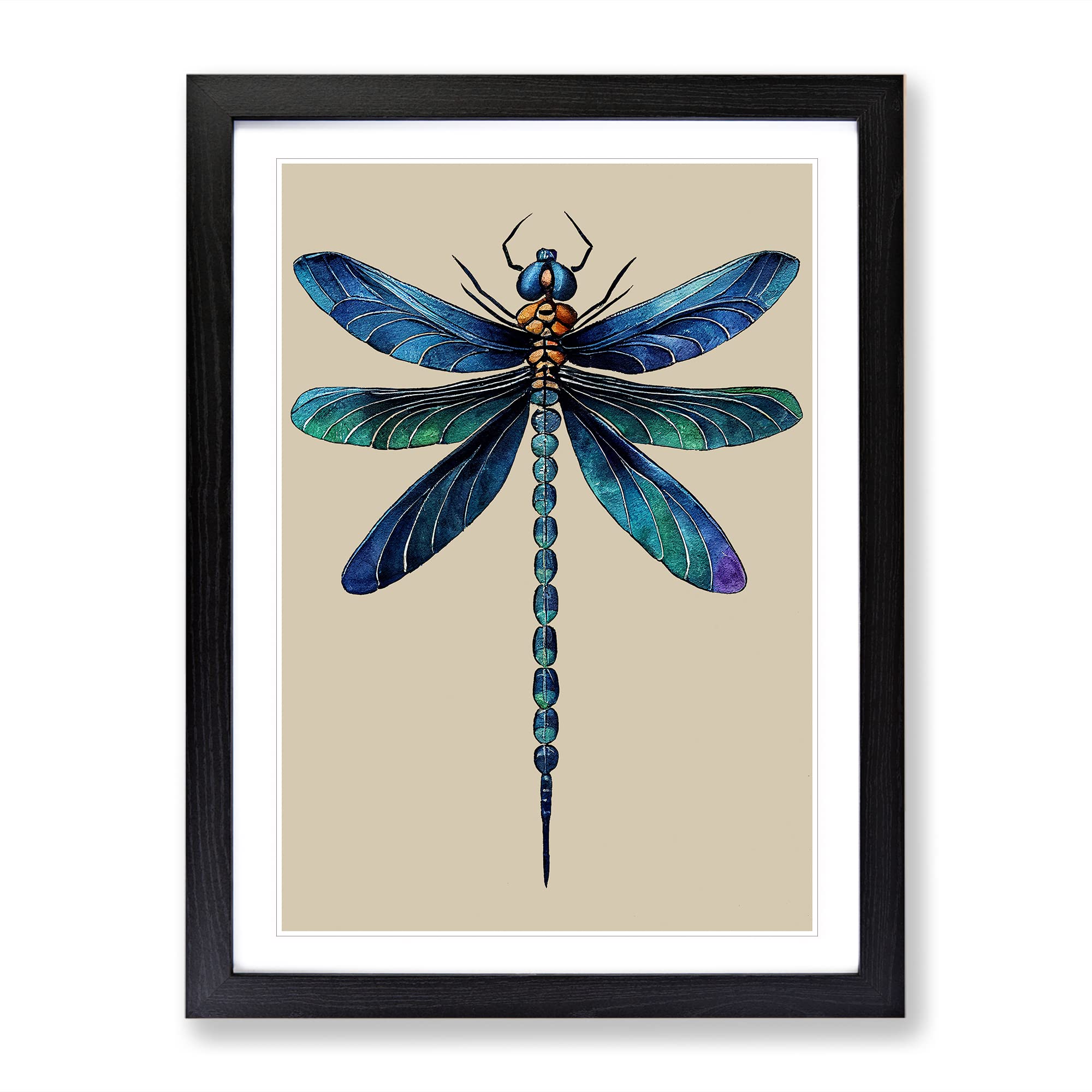 View Of A Dragonfly Framed Print | A4 Black Framed Wall Art | Ready to Hang | Modern Animal Picture | Living Room Bedroom Lounge Office