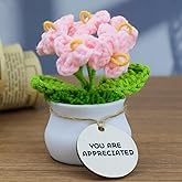 MSEHKM Encouragement Crochet Flowers with Positive Wooden Affirmations Handmade Artifical Flower Decor Ideal for Birthday/Christmas/Thank You Present (Pink Forget Me Not, You are Appreciated)