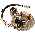Ignition Stator Magneto Plate – Fits 125cc Pit Bike, XR50, SDG, SSR 107/110/125