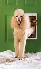 PetSafe Extreme Weather Pet Door Triple Flap Large Frame Customisable view 8