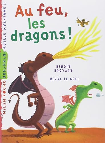 Download Au feu, les dragons PDF
