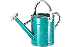 WEHOME 1 Gallon Watering Can for Outdoor and Indoor Plants，Premium Galvanized Steel Gardening Watering Can with Stainless Steel Handles，Metal Flower Watering Can with Removable Sprinkler Head，Speckled Green