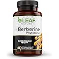 B’Leaf Nature's Berberine Phytosome, 120 Capsules, 1100mg - Berberine Supplement for Cardiovascular & Metabolic Support - Gluten-Free, Non-GMO, Vegan Berberine Supplement Capsules for Immune Health