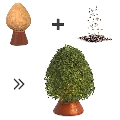 CHIA SAMEN zu SPROSSEN ANZUCHTSET - Geschenk für Frauen Männer & Kinder - 100% Handgemachte Tonfigur zum natürlichen Keimen g