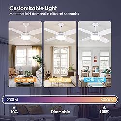 Asyko 42" Ceiling Fans with Lights, White Modern