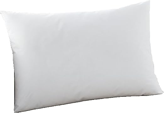 Amazon Com Moonrest Lumbar Pillow Form Insert Hypoallergenic Sham