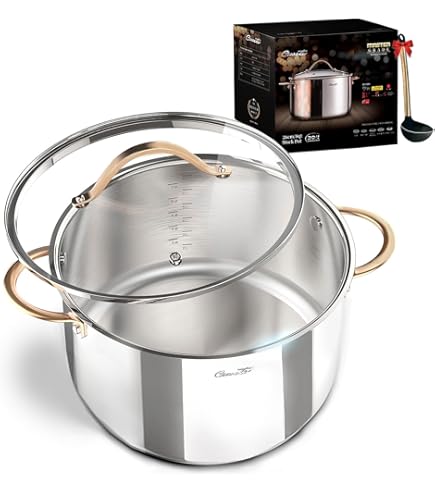 ZWILLING 大鍋、小鍋、大鍋用蓋 Amazon.com: ZWILLING 雙經典平底鍋附蓋24 公分6 公升適用於電磁爐