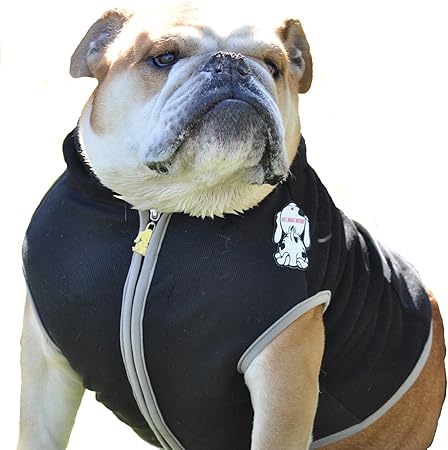 bulldog sweatshirt for dog