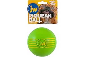 JW Pet Dog Isqueak Ball Dog Toy, Large, (Assorted Colors)