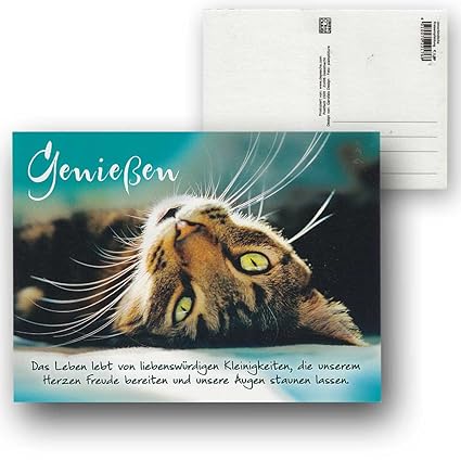 Sprüche über Leben Genießen 40 Sprüche Das Leben