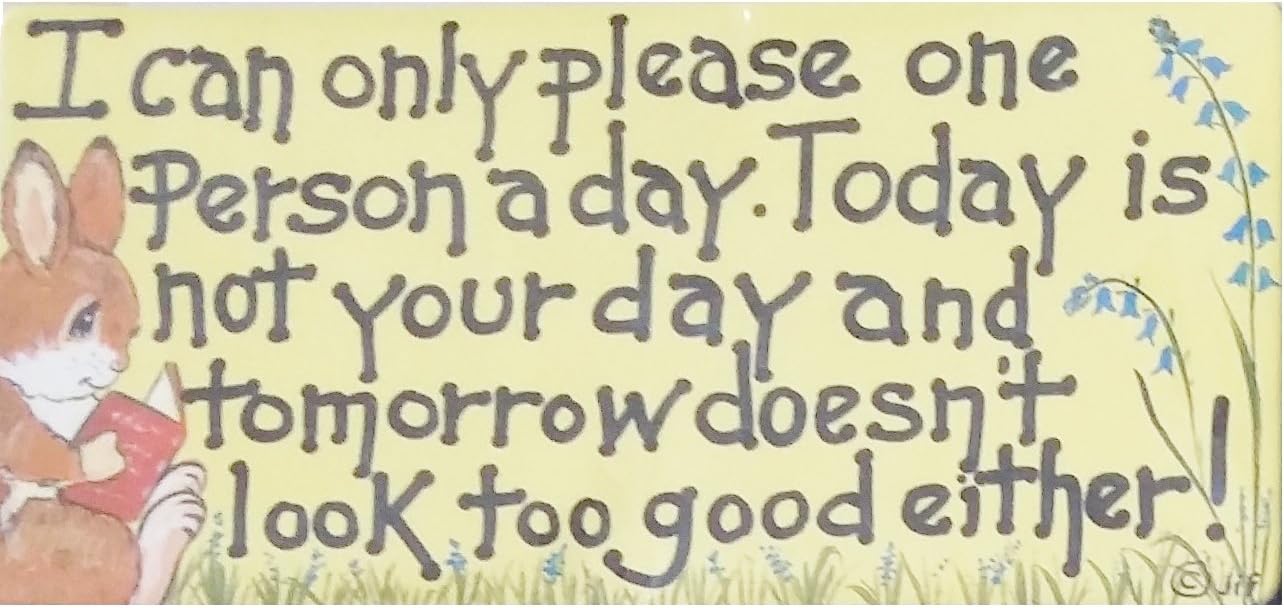 I Can Only Please One Person A Day Fridge Magnet Fun Funny Novelty Gift Humour Humourous Quotes Joke Kitchen