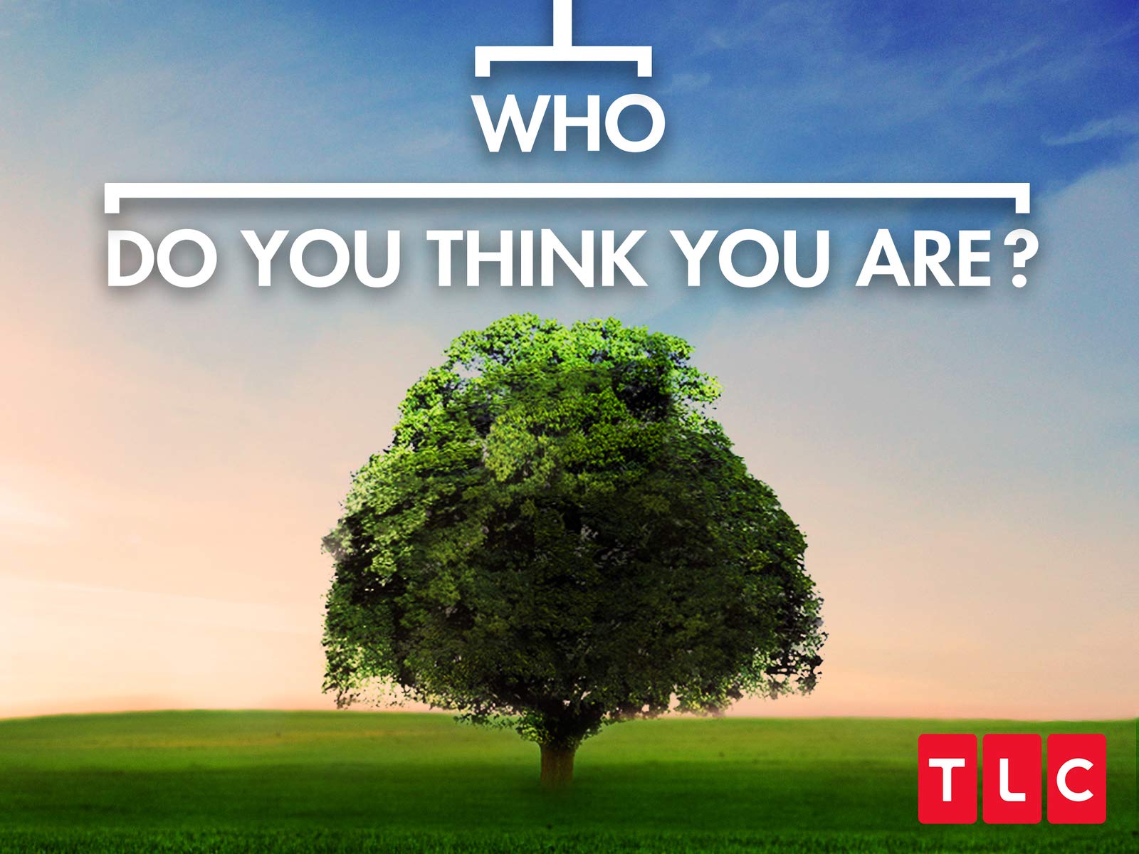 Watch Who Do You Think You Are? Season 8 Prime Video